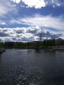 Tampereen kesä (3)